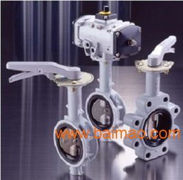 日本北澤kitz蝶閥,日本北澤kitz蝶閥生產(chǎn)廠家,日本北澤kitz蝶閥價(jià)格